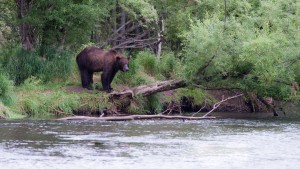 Világjáró Klub - Kamcsatka