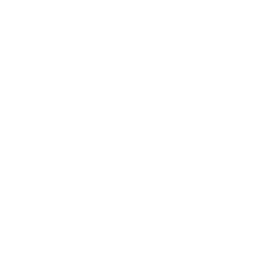 GTK Spotify spotify icon