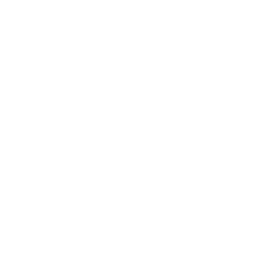 PE webshop webshop icon