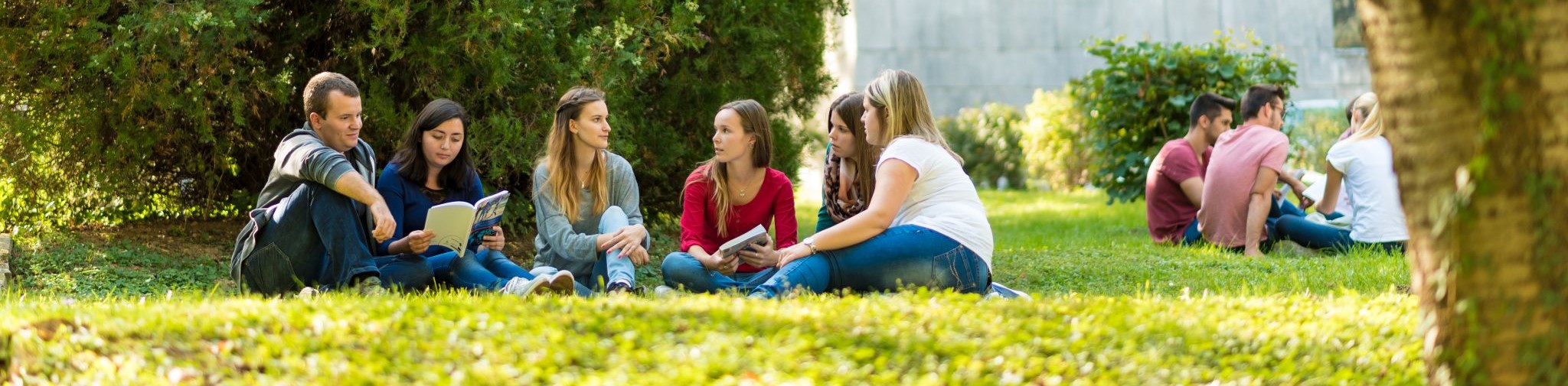 Emberi erőforrások alapszak a Pannon Egyetemen